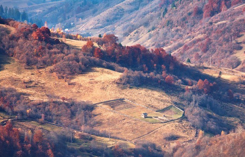 карпаты, осень, утро, свет, лес, огород ...Огород... фото превью