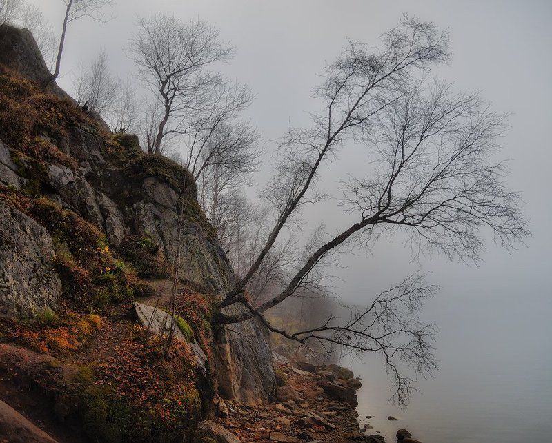 Предзимьеphoto preview