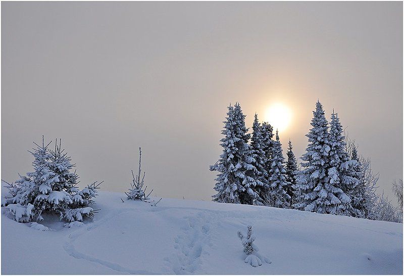 зима,зимний пейзаж,пасмурно,небо,удмуртия,солнце Атмосферная меланхолияphoto preview