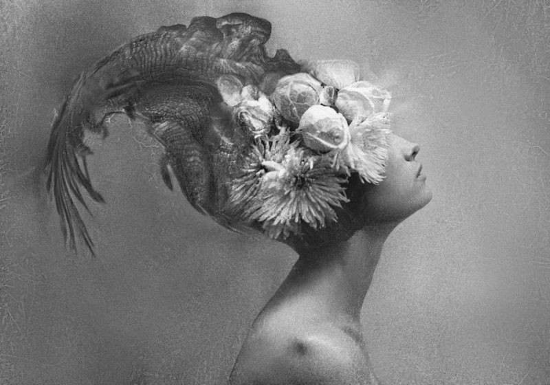 женщина -рыбаphoto preview