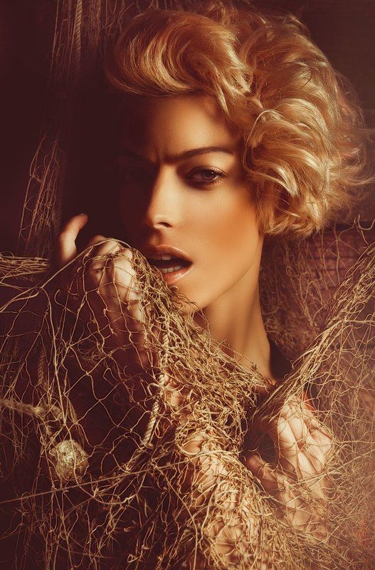 в сетяхphoto preview