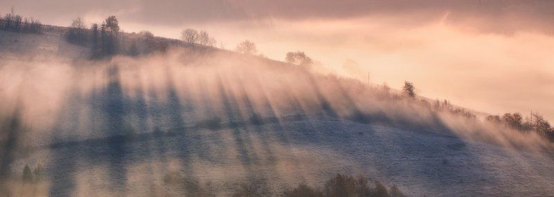 карпаты, осень, утро, свет, лес, туман ...Туманный рассвет... фото превью