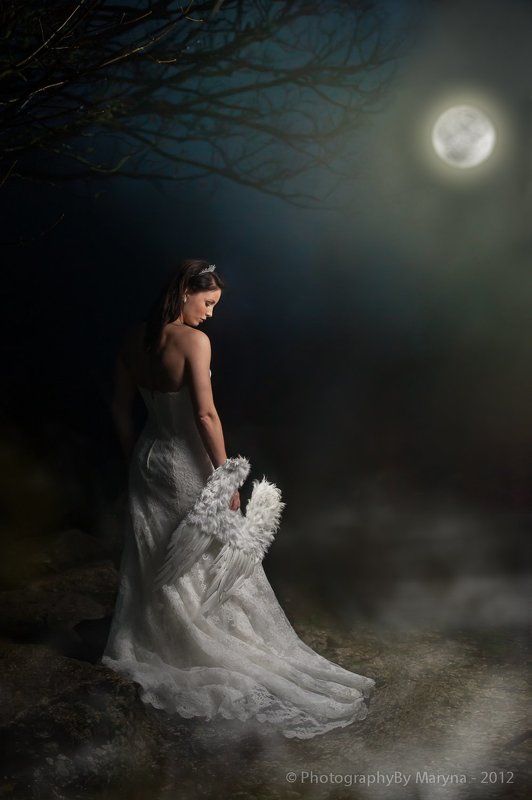 Midnight angelphoto preview