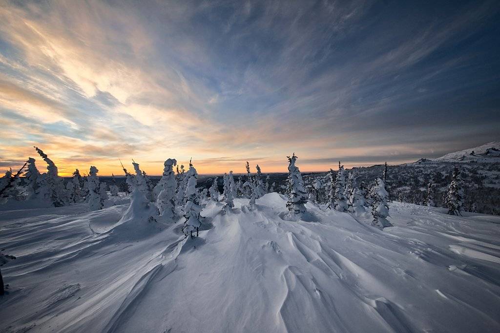 Сумерки. Автор: Валерий Пешков шерегеш, гора зеленая, вечер, пихты, сумерки, горная шория, Валерий Пешков