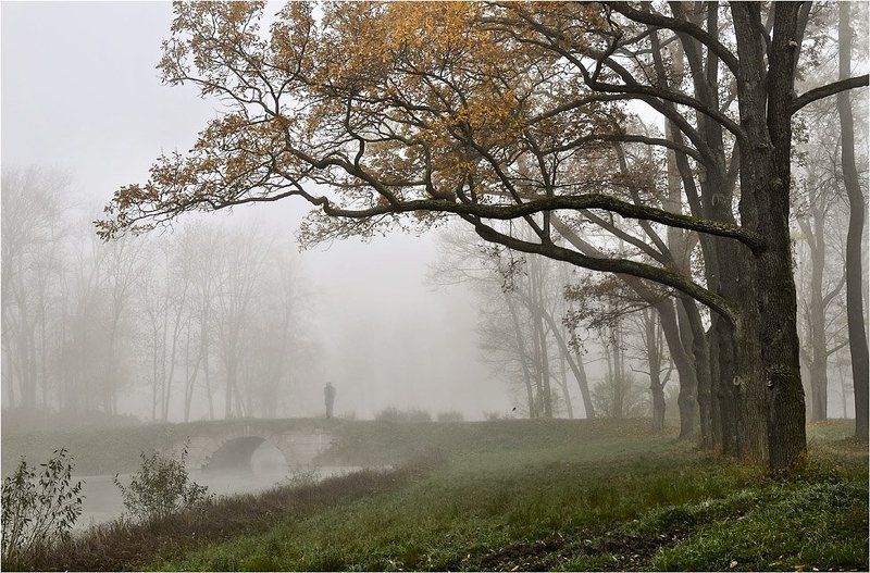 Вампир в туманеphoto preview