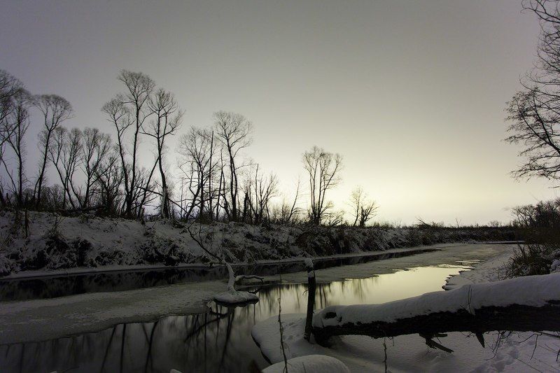 ночь Там на неведомых дорожках следы невиданных зверейphoto preview