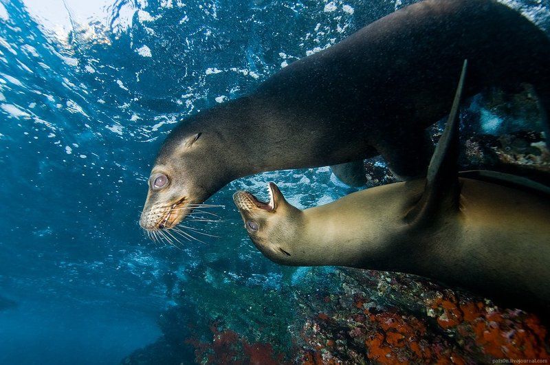 the gamephoto preview