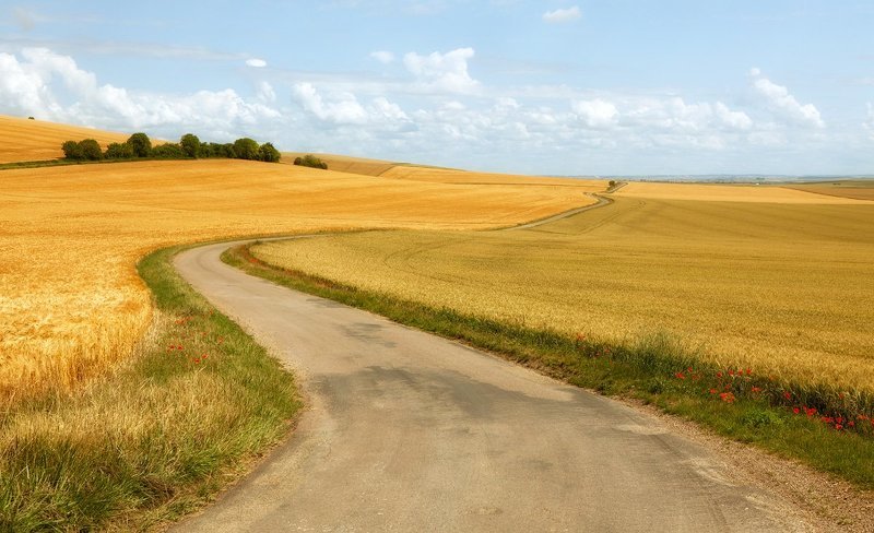 Поле фото превью