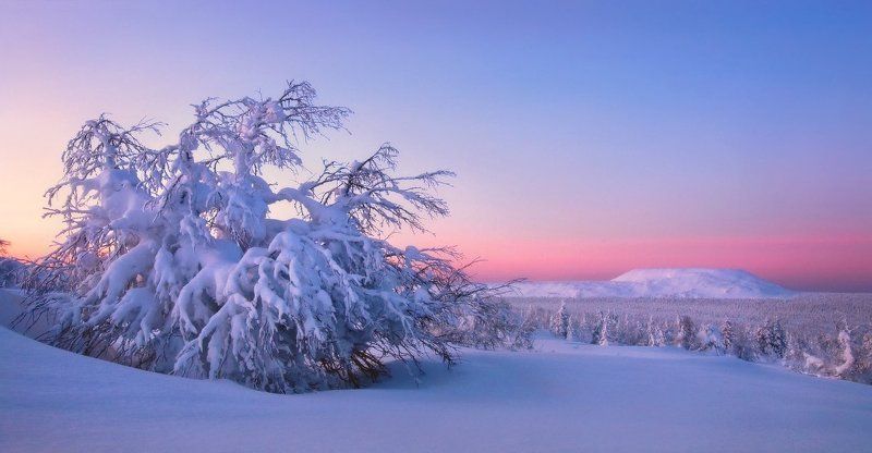 В тишине снеговphoto preview