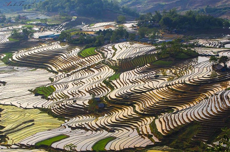 #sellingphoto #landscape Sàng Ma Sáophoto preview