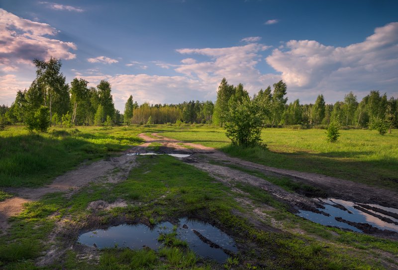 луг, весна, май, вечер И майский день уж тихо тает, роняя блики синевыphoto preview