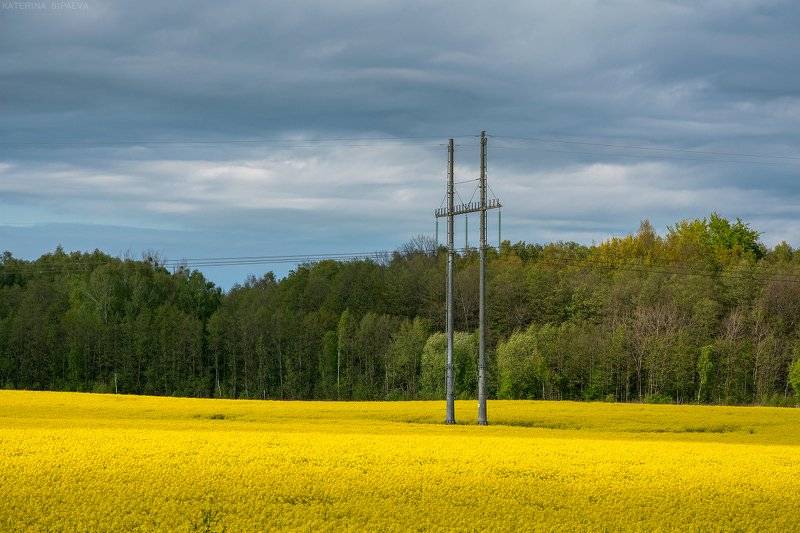 пейзаж, весна, поле Полевой минимализмphoto preview