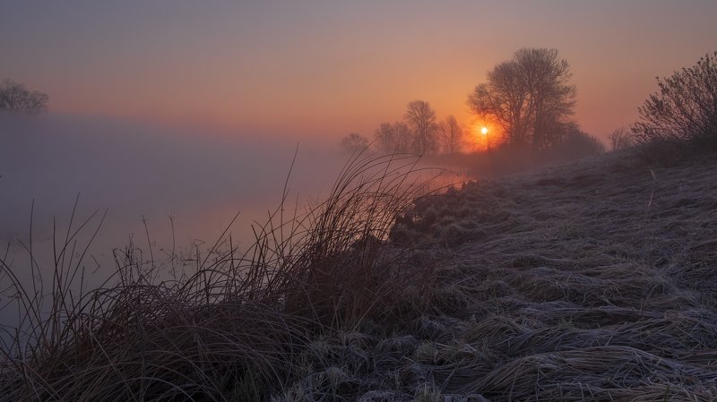 Туманное утроphoto preview