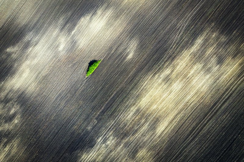 #air, #airphotography, #abstract, #nature, #romania, #, minimal, #green, #beauty, in, nature, #drone Minimal greenphoto preview