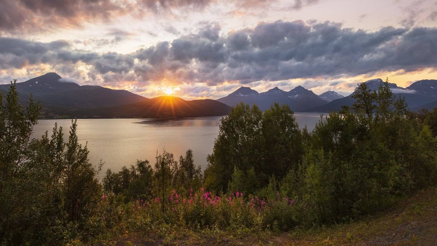 лофотены, норвегия, закат, солнце, озеро, горы, цветы, Marat Max (Марат Макс)