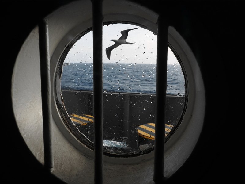 the cellphoto preview