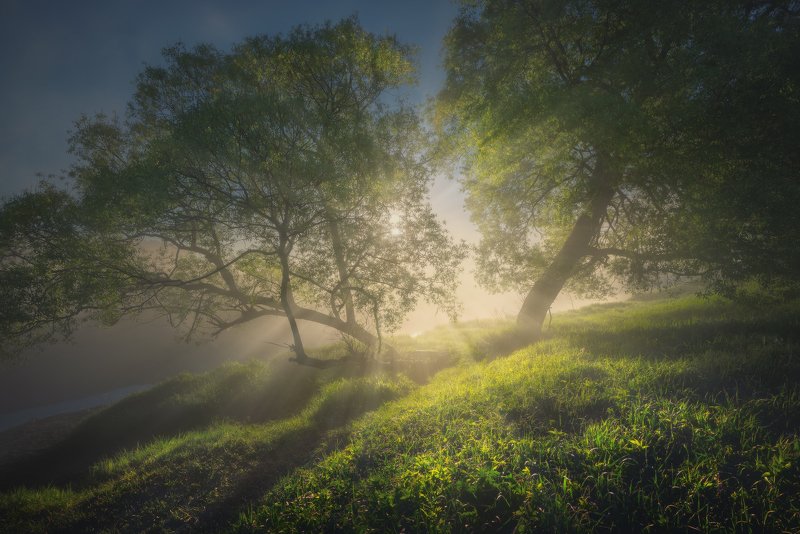 Майское утроphoto preview