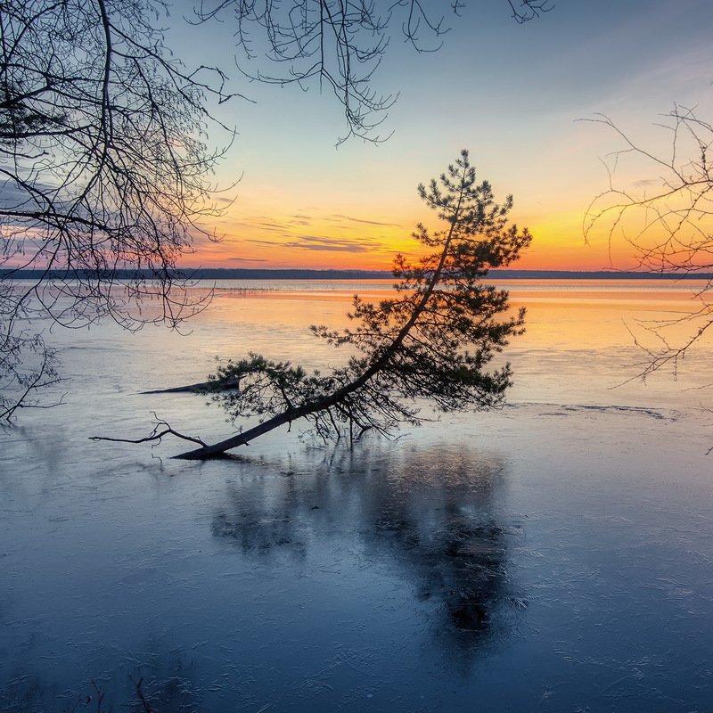 Берег на рассветеphoto preview