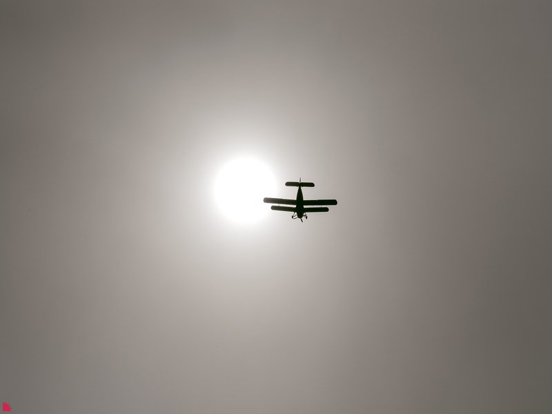 На краю солнцаphoto preview