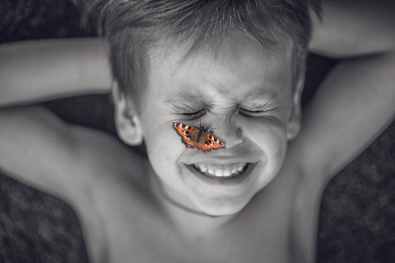 бабочка photo preview