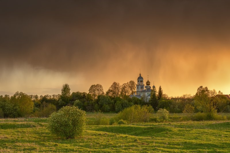 Золотые дожди... фото превью