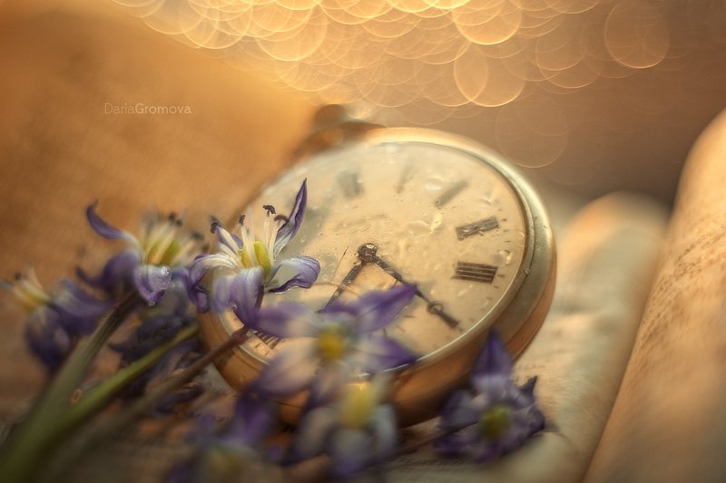 боке, ручной обьектив, мануальная оптика, фотограф, фотосессия, натюрморт, фото, блики, цветы, гелиос, макро, закат, цветы, время, часы, книга Времяphoto preview