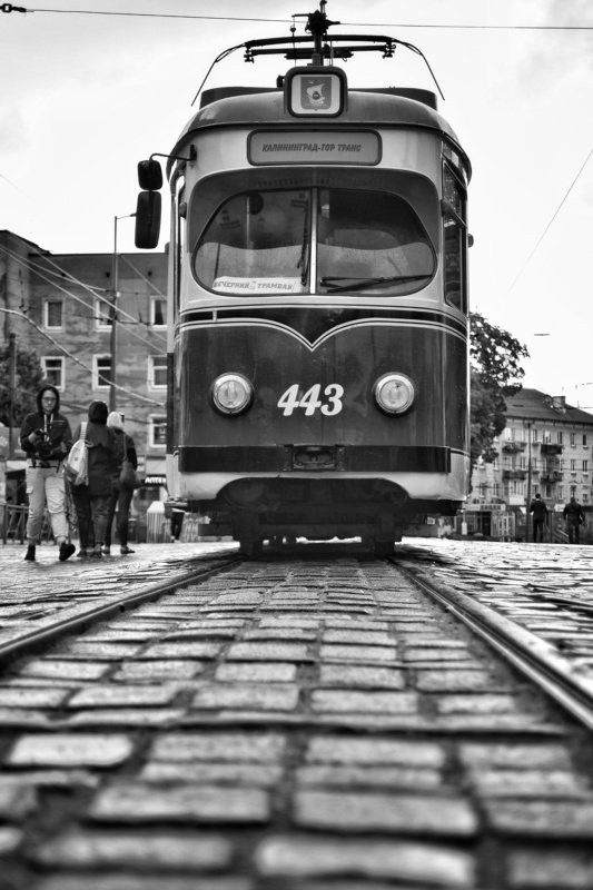 Калининградский трамвайчикphoto preview