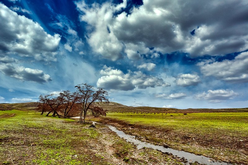 южный урал,оренбургская область, орск, новотроицк, Весна на Южном Урале фото превью