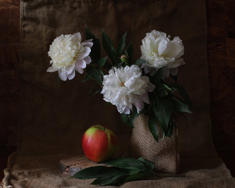 Пионыphoto preview