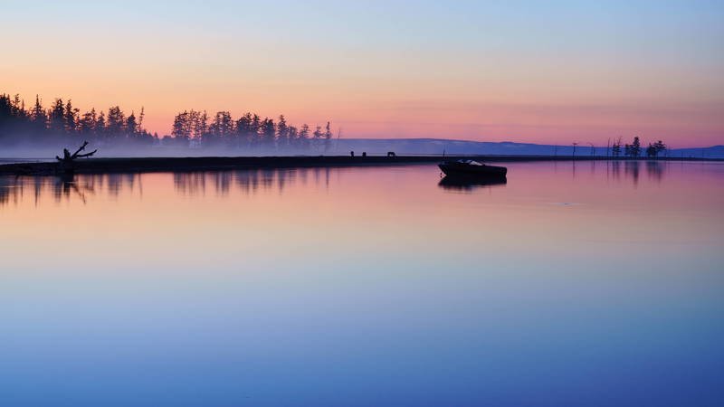 mongolia, hovsgol, lake, horses, mist, fog, morning. atmosphere, mood, Magic hourphoto preview