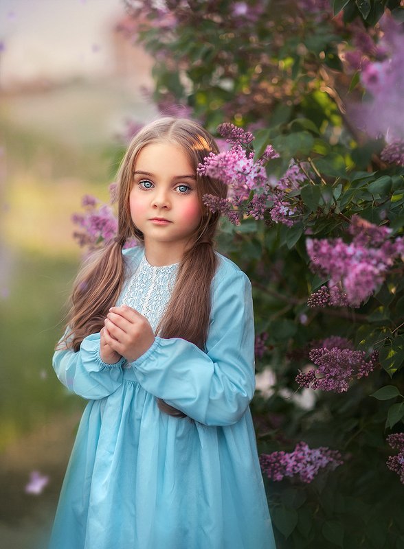 Сиреньphoto preview