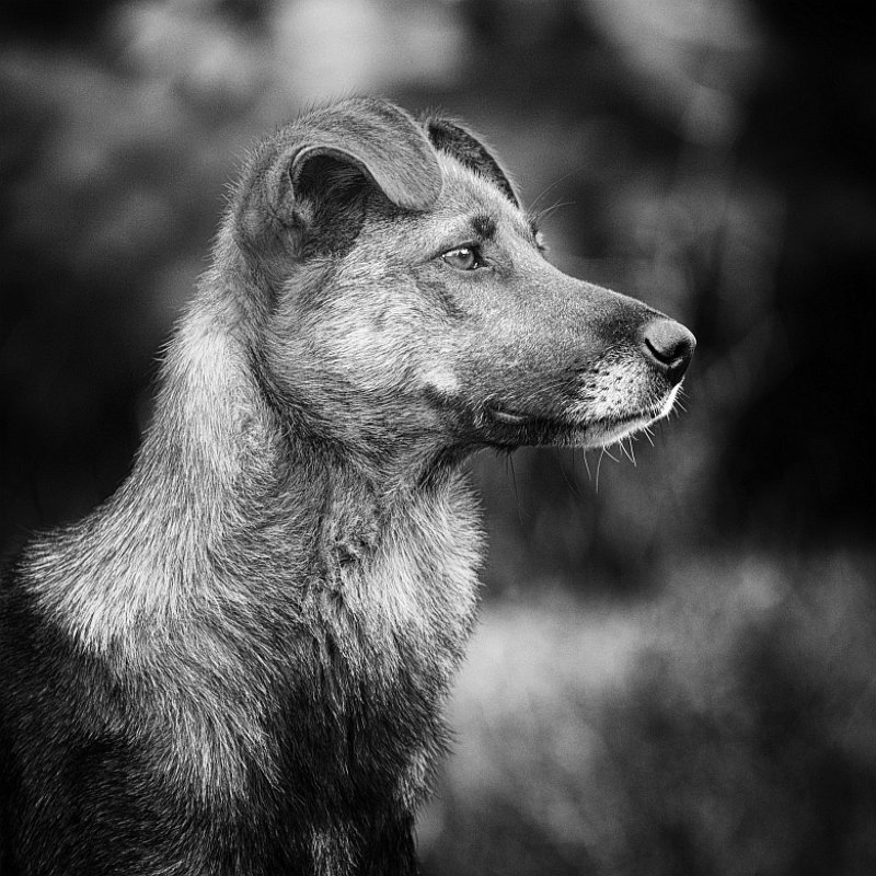 Пальмаphoto preview