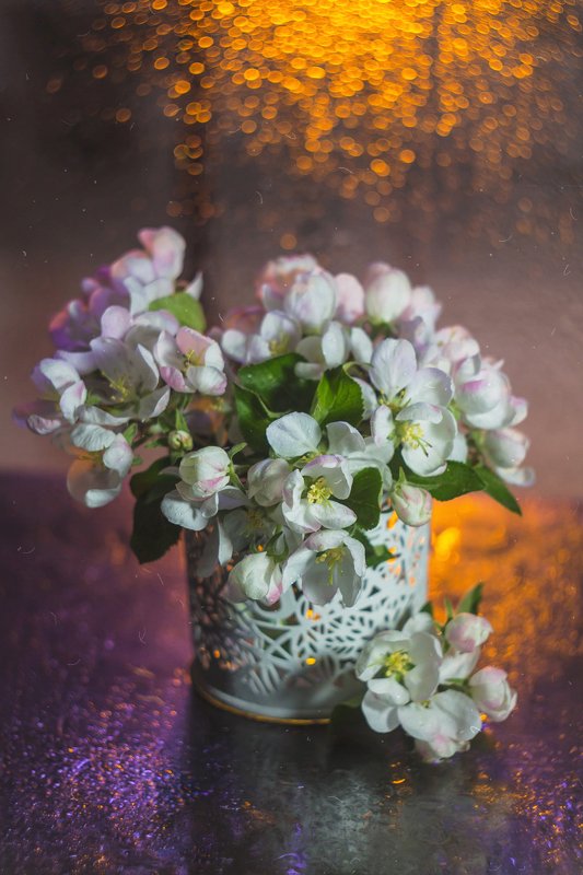 боке, натюрморт, фиолетовый, желтый, цветы,  красивый, блики, still life Цветнаяphoto preview