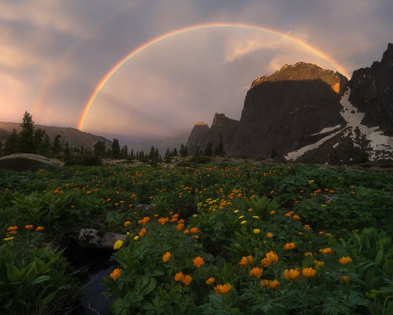 The Gold of Trollsphoto preview