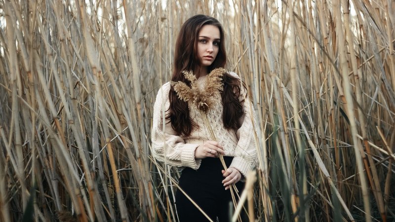 portret photo preview