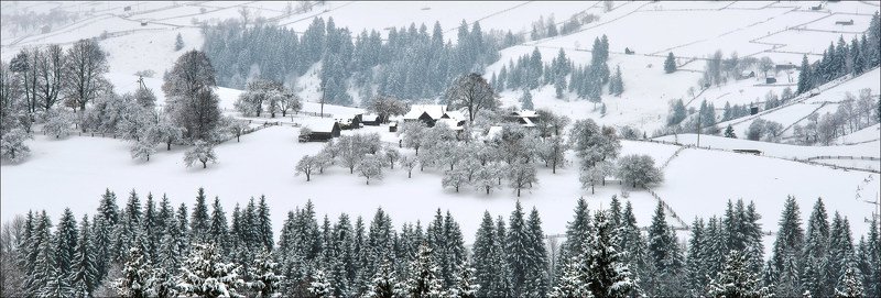 карпаты, , зима photo preview