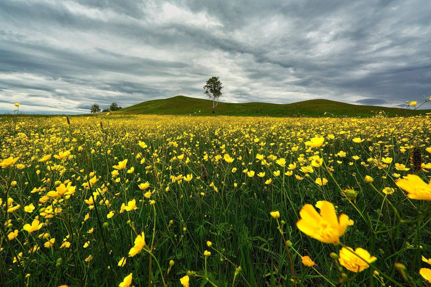 южный урал,оренбургская область, орск, новотроицк,, Качурин Алексей