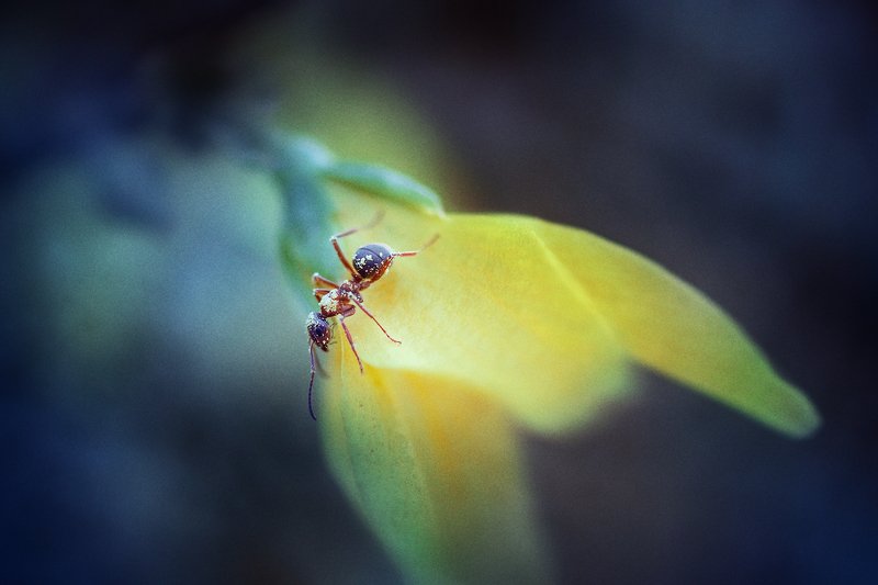 Малыш замухрышка :)photo preview