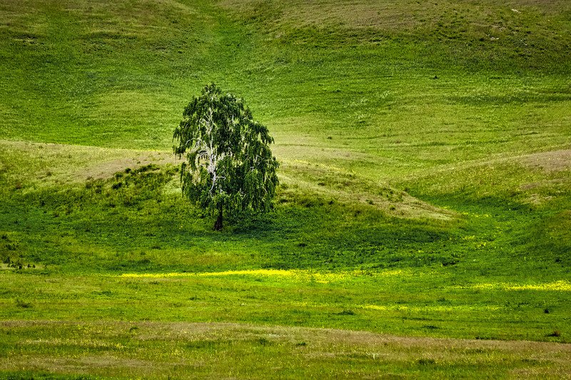 южный урал,оренбургская область, орск, новотроицк, Изумрудная фото превью
