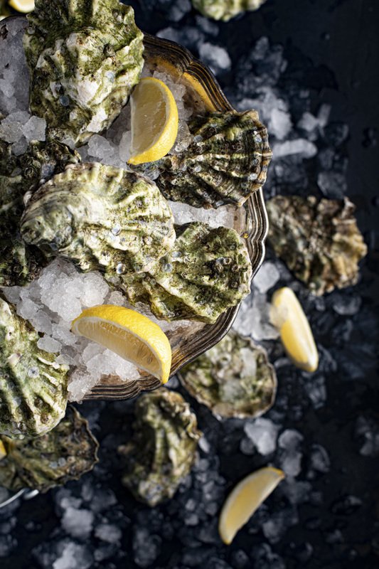 food photography fresh oysters seafood raw foodie still life flatlay Oystersphoto preview