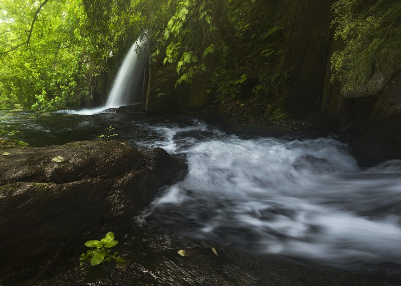 #landscape #mountains #italy #forest #waterfall \