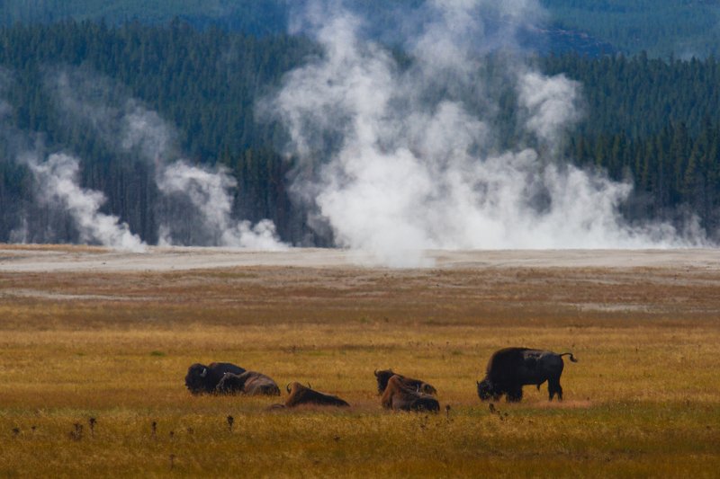 yellowstone. usa, national park Йеллоустонphoto preview