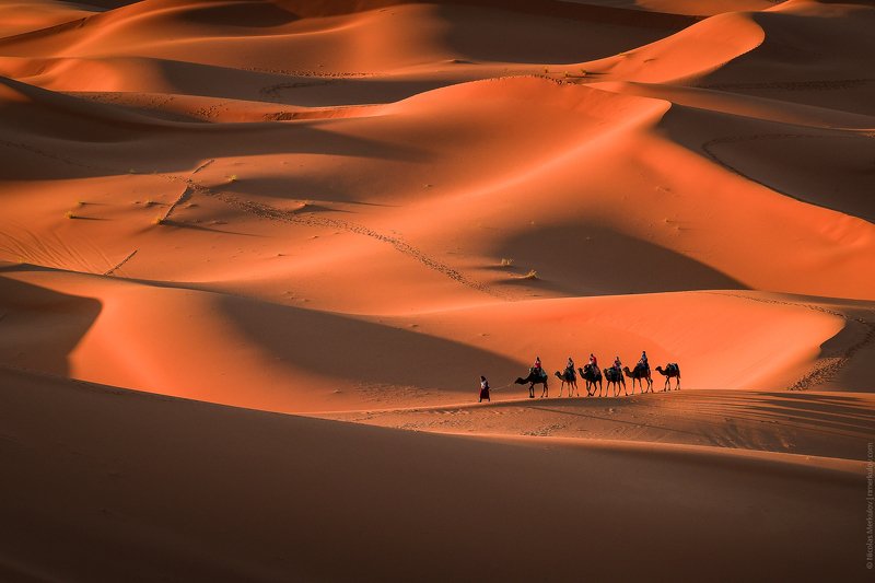 morocco, africa, sahara, desert, caravan, camel, travel, landscape, people, sunset, nmerkulov, nmerkulovphotography Караван в Пустыне Сахара / Camel Caravan in Sahara Desertphoto preview