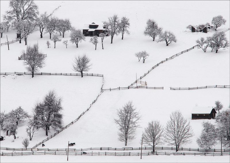 карпаты, зима photo preview