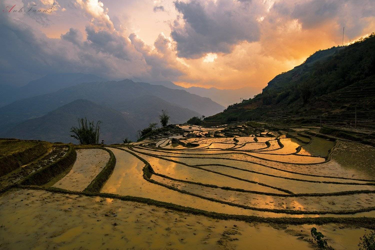 #sellingphoto #landscape, Tuan Guitare