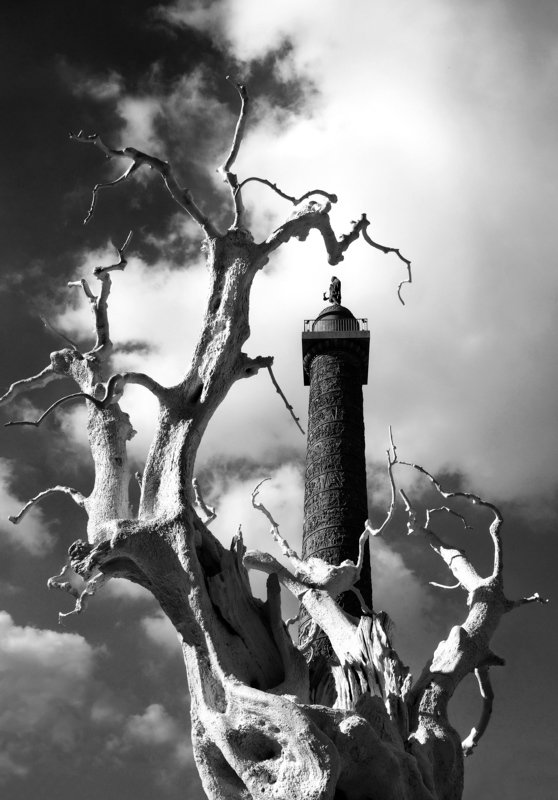 Путь Императораphoto preview