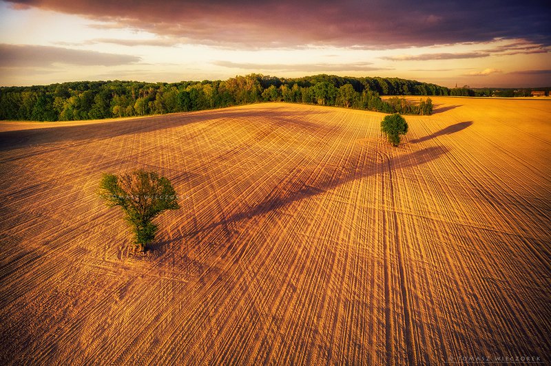poland, polish, landscape, sunrise, sunset, colours, awesome, amazing, adventure, travel, beautiful, field, spring, tree, shadows Battle of shadowsphoto preview