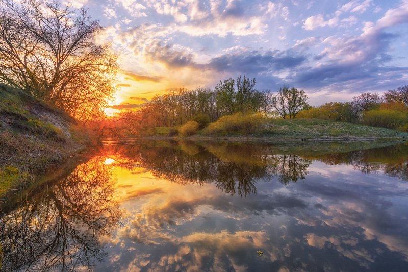 Отраженияphoto preview