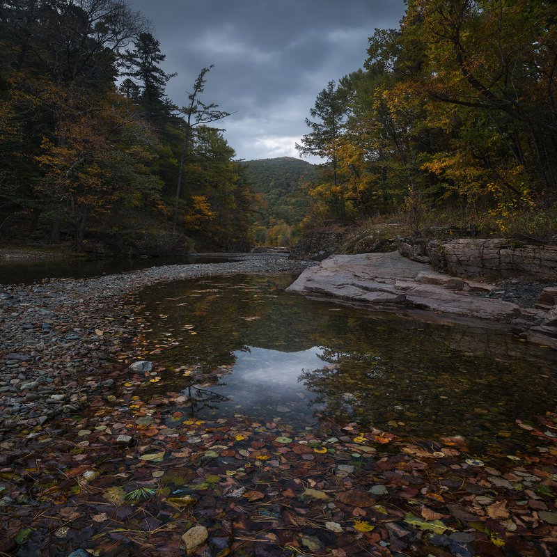 The Pink Rapidsphoto preview