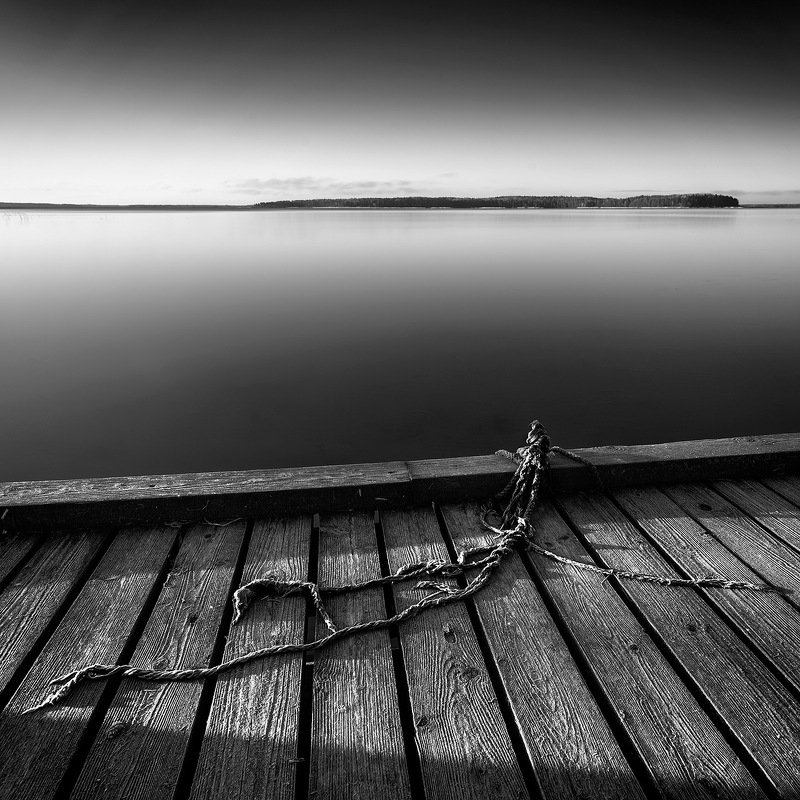 Осьминогphoto preview